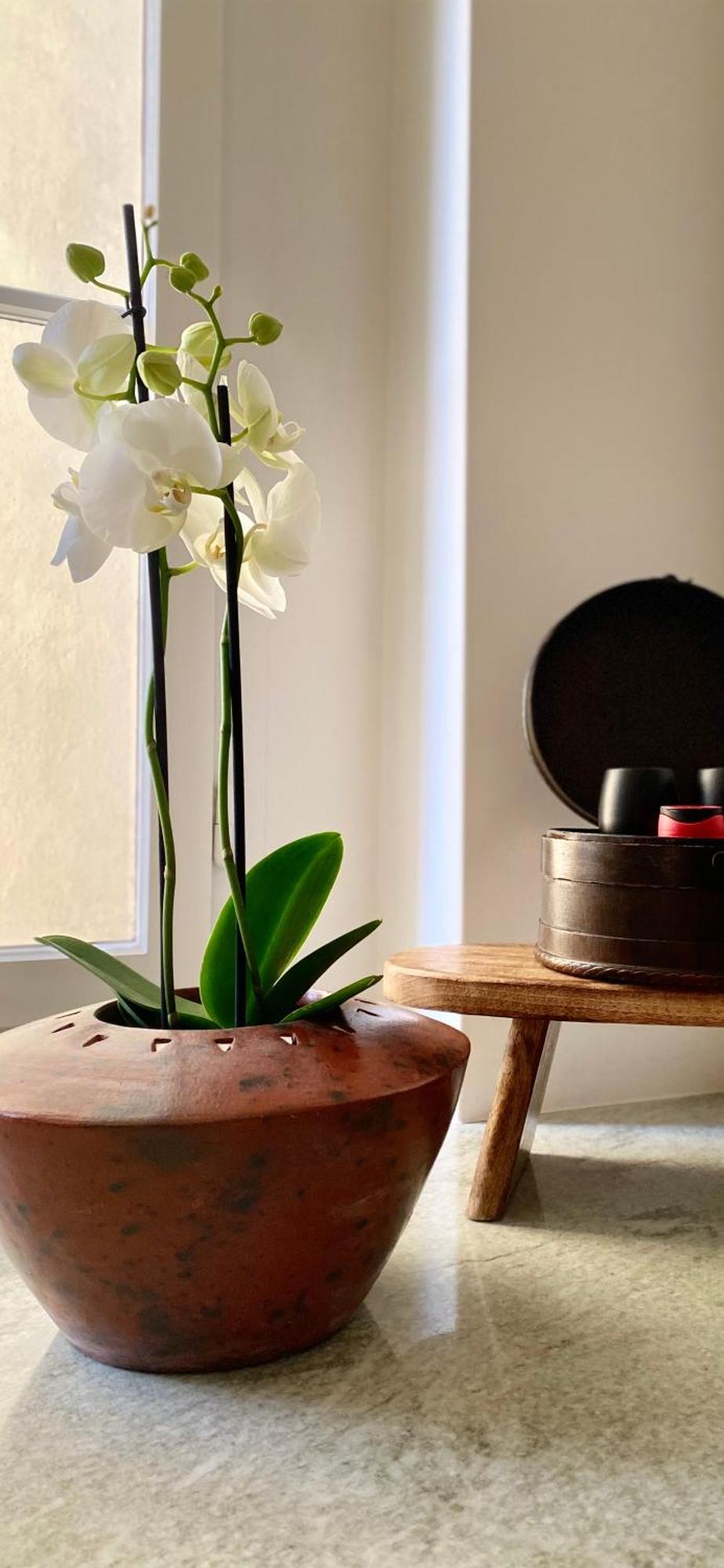 Goethe House In Old Town Zuerich Apartment Екстериор снимка